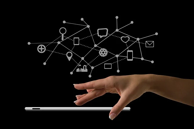 Digitales Ökosystem Beispiel